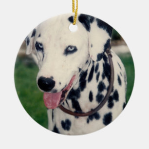 Adorno De Cerámica Mi Mascota amigo sube tu propio Personalizado de f