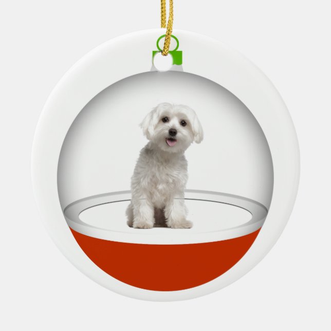 Adorno De Cerámica Mi mejor amigo - SRF (Frente)