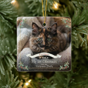 Adorno De Cerámica Mi primer Navidad gato familia nombre año foto