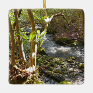 Adorno De Cerámica Mingus Creek en Smoky Mountains