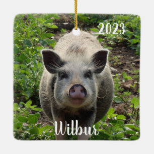 Adorno De Cerámica Mini Juliana Mascota Cerdo #2