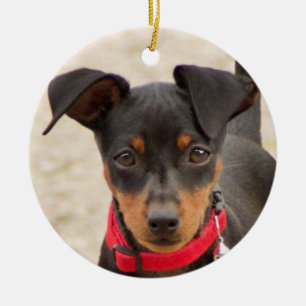 Adorno De Cerámica mini-pinscher-negro y óxido