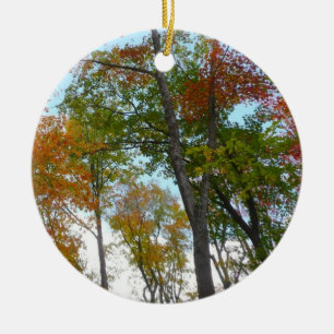 Adorno De Cerámica Mirando hacia arriba a las hojas de otoño I Follaj