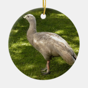 Adorno De Cerámica Miscellaneous - Cape Barren Goose Shadows & Light