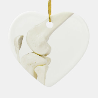 Adorno De Cerámica Modelo de la junta de rodilla de la pierna humana