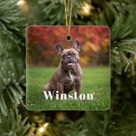 Adorno De Cerámica Modern Custom Pet Name Photo Holiday