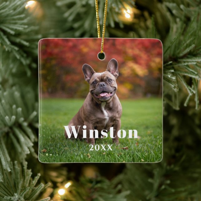 Adorno De Cerámica Modern Custom Pet Name Year Photo Holiday (Árbol)