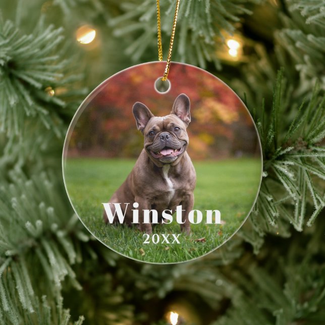 Adorno De Cerámica Modern Custom Pet Name Year Photo Holiday (Árbol)