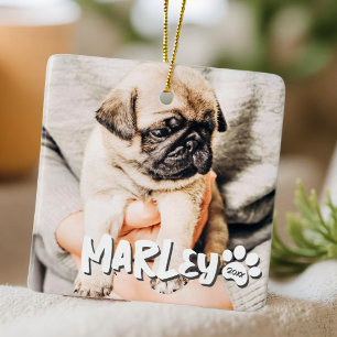 Adorno De Cerámica Moderna y lúdica foto de Mascota de Personalizado
