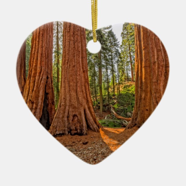 Adorno De Cerámica Monarcas del bosque (Frente)