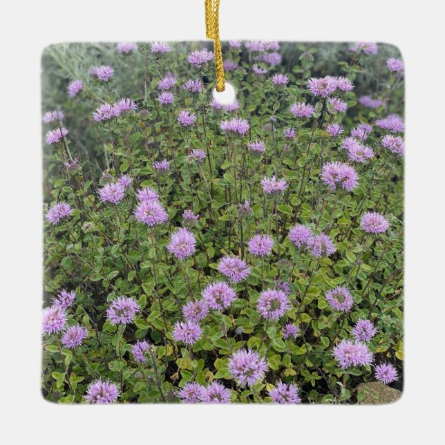 Adorno De Cerámica Moneda de Coyote (Anverso)