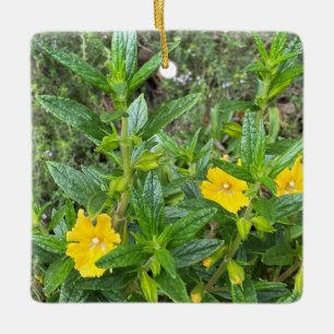 Adorno De Cerámica Monkeyflowers de marzo