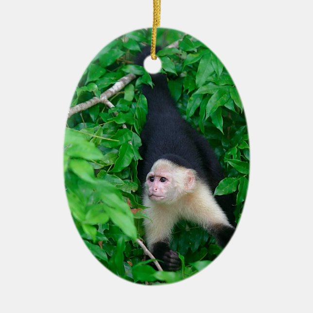 Adorno De Cerámica Mono capuchino blanco (Frente)