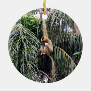 Adorno De Cerámica Mono Gibbon Colgando Por Ahí,
