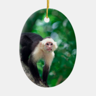 Adorno De Cerámica Mono hecho frente blanco lindo Nicaragua del