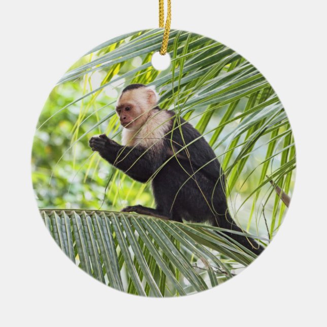 Adorno De Cerámica Mono lindo en una palmera (Frente)