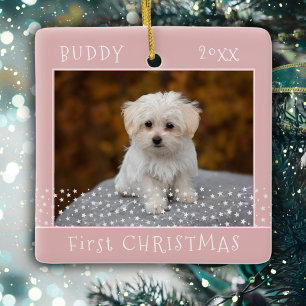 Adorno De Cerámica Mono Primer Navidad Perro Mascota Foto Estrellas R