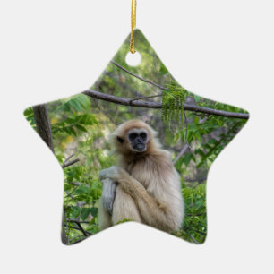 Adorno De Cerámica Mono rubio del Gibbon - lar del Hylobates
