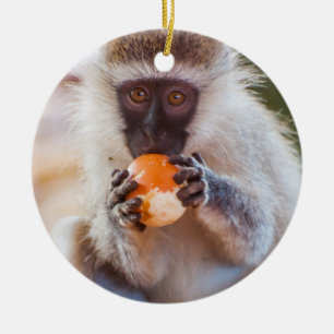 Adorno De Cerámica Mono tonto con Naranja