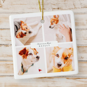 Adorno De Cerámica Monumento mascota Para Siempre En Nuestras Fotos E