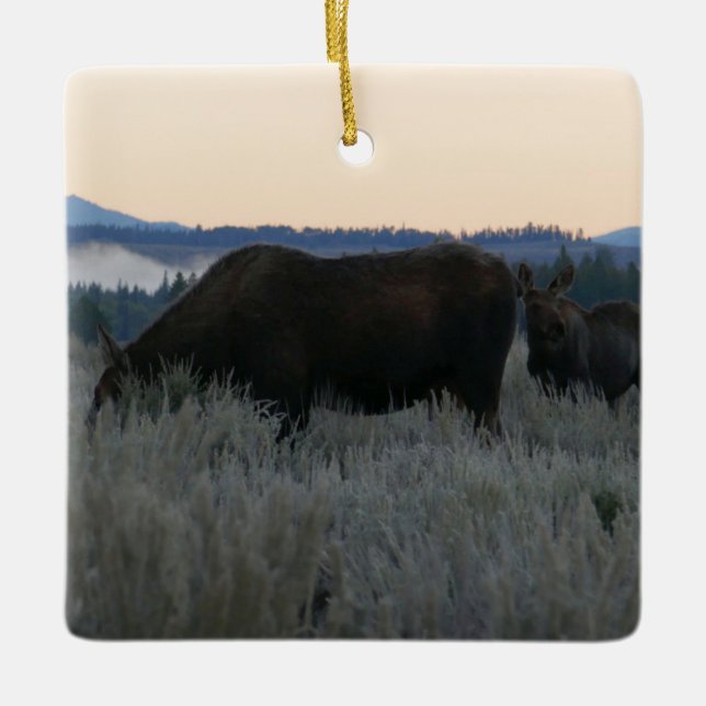 Adorno De Cerámica Moose Grazing al amanecer en Grand Teton (Anverso)
