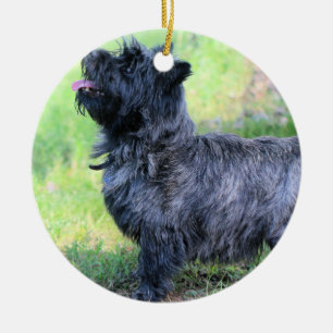 Adorno De Cerámica Mostrar chica