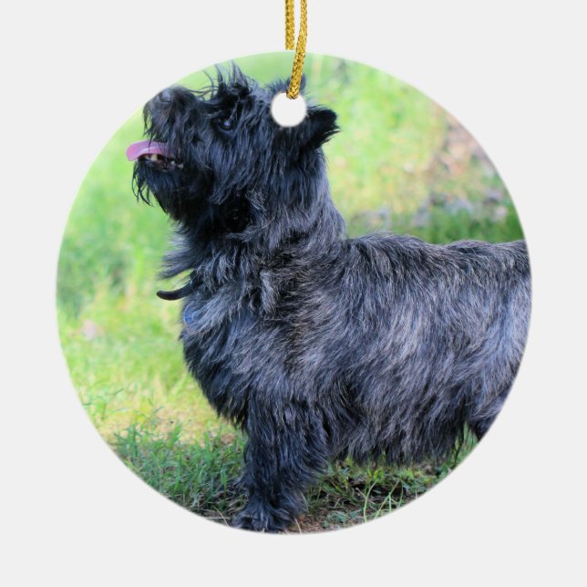 Adorno De Cerámica Mostrar chica (Frente)