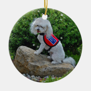Adorno De Cerámica Ms Dolly MaltiPoo