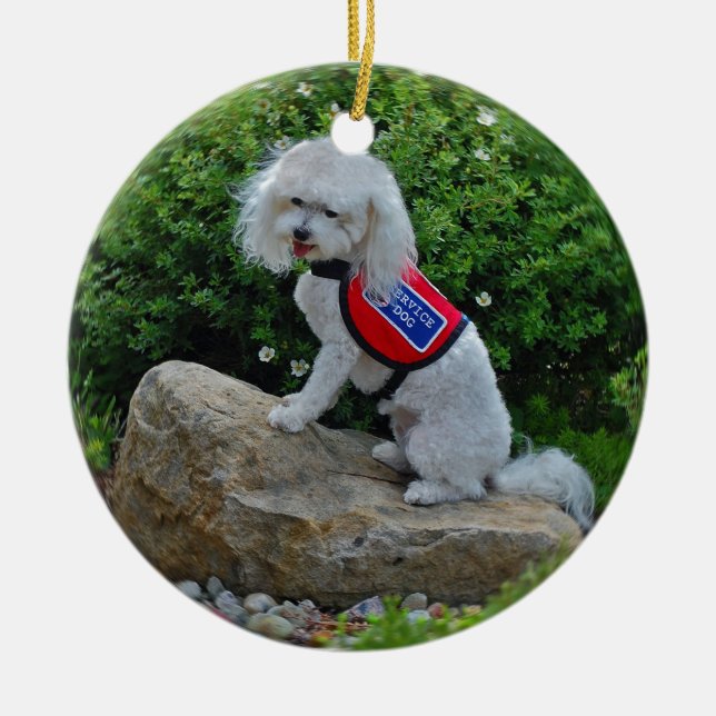 Adorno De Cerámica Ms Dolly MaltiPoo (Frente)