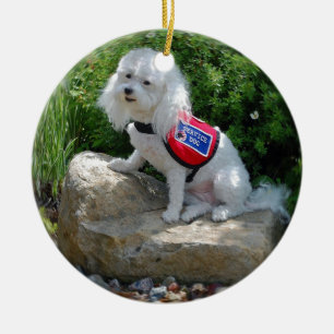 Adorno De Cerámica Ms Dolly MaltiPoo