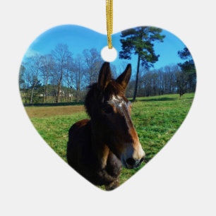 Adorno De Cerámica Muela marrón y blanca