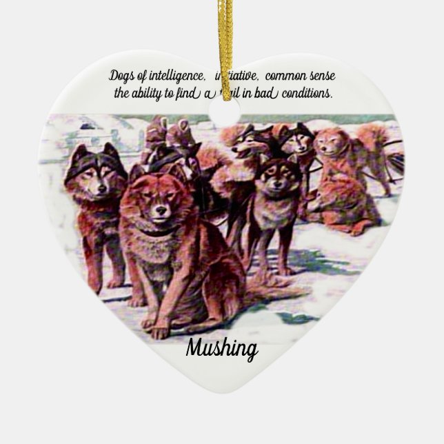 Adorno De Cerámica "Mushing" (Frente)