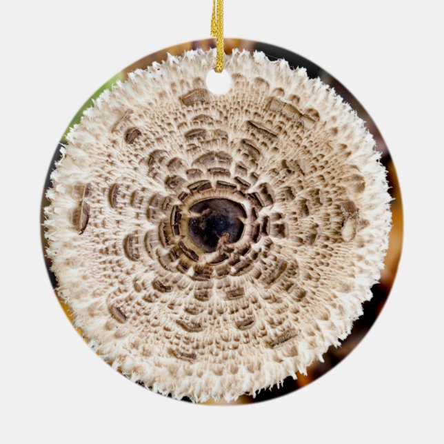 Adorno De Cerámica Mushroom (Atrás)