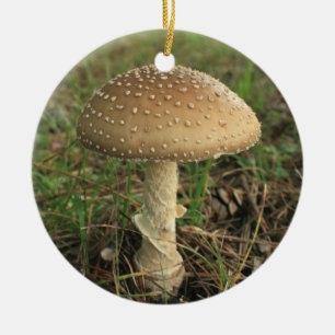 Adorno De Cerámica Mushroom