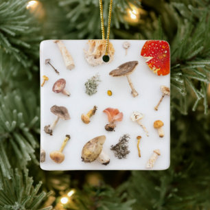 Adorno De Cerámica Mushrooms Fungus