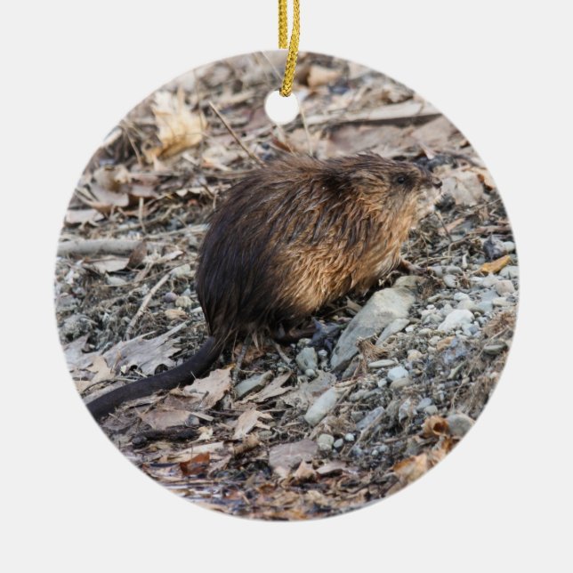 Adorno De Cerámica Muskrat (Frente)