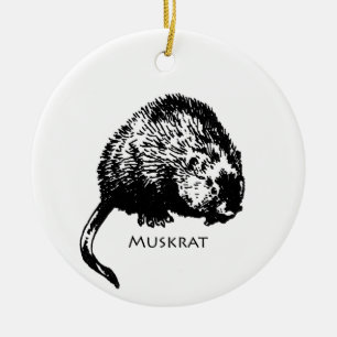 Adorno De Cerámica Muskrat (ilustracion)