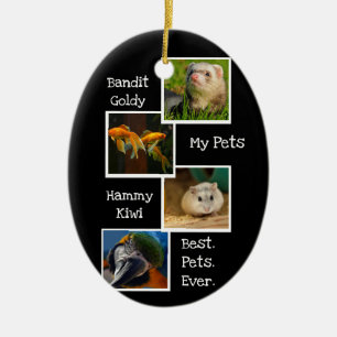 Adorno De Cerámica My Pets Photo Collage Best Pets Ever Fun Cute