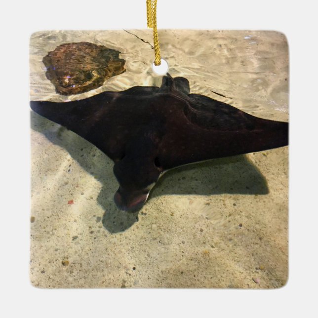 Adorno De Cerámica Mystical Stingray (Anverso)