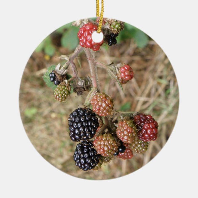 Adorno De Cerámica Nacimiento de Blackberry Bonanza Personalizado (Frente)