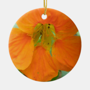Adorno De Cerámica Naranja bonito Nasturtium Personalizado Cumpleaños