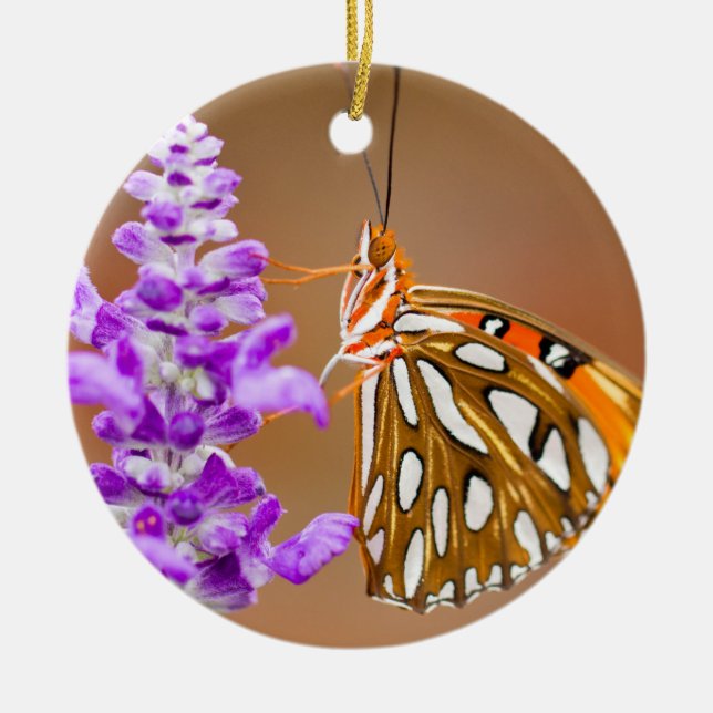 Adorno De Cerámica Naranja brillante mariposa fritillera del Golfo (Frente)