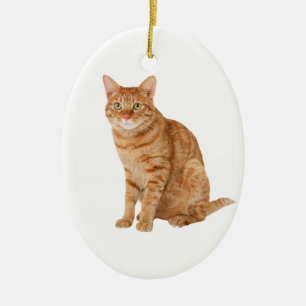 Adorno De Cerámica Naranja Cat
