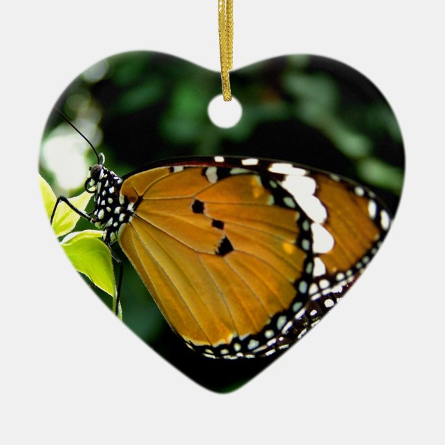 Adorno De Cerámica Naranja, mariposa negra y blanca en hojas (Frente)