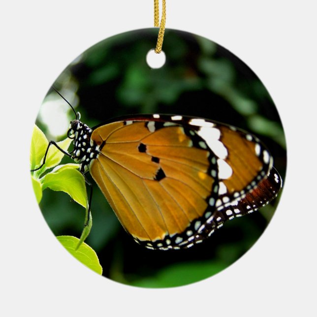 Adorno De Cerámica Naranja, mariposa negra y blanca en hojas (Frente)