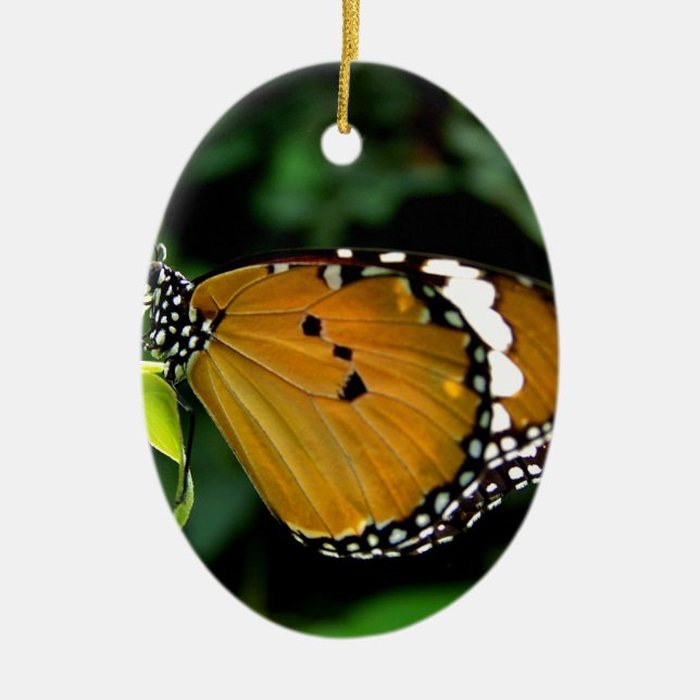 Adorno De Cerámica Naranja, mariposa negra y blanca en hojas (Frente)