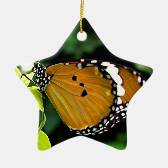 Adorno De Cerámica Naranja, mariposa negra y blanca en hojas (Frente)