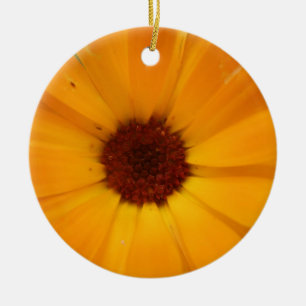 Adorno De Cerámica Naranja Rain Daisy Personalizado Cumpleaños