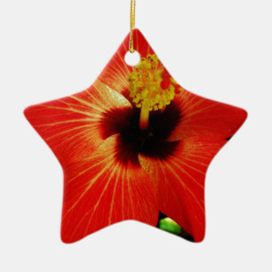 Adorno De Cerámica Naranja rojo brillante Hibiscus Flower