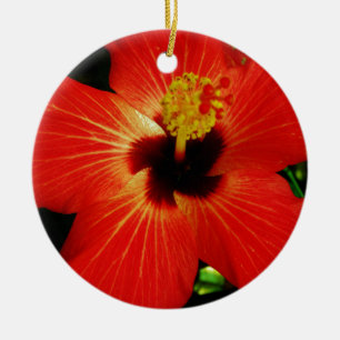 Adorno De Cerámica Naranja rojo brillante Hibiscus Flower